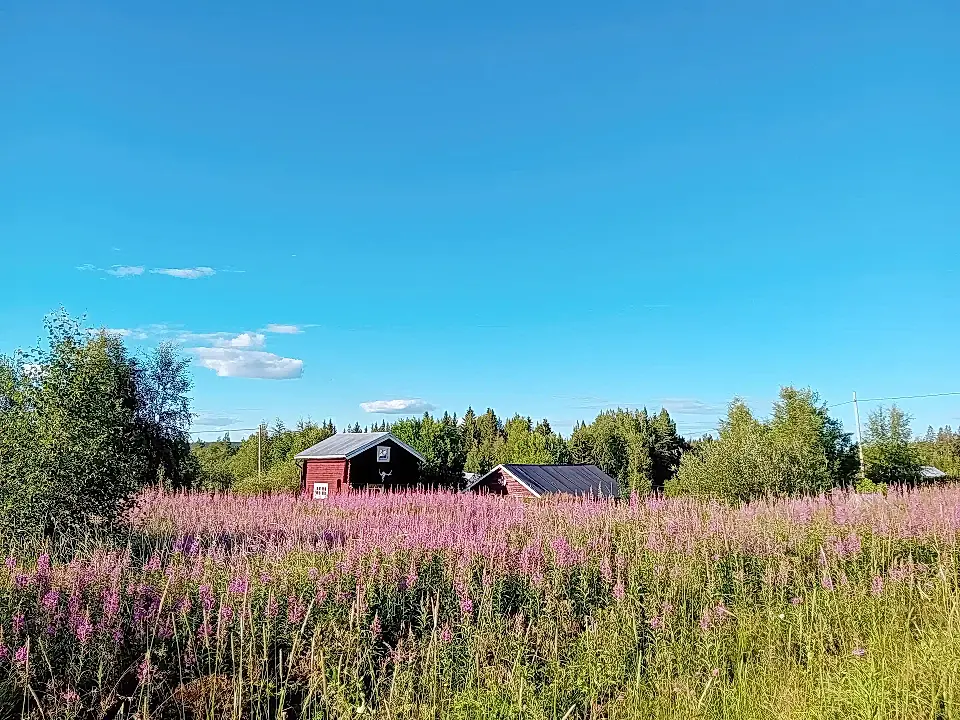 Farm for Sale in Asele, Vaesterbotten, Sweden